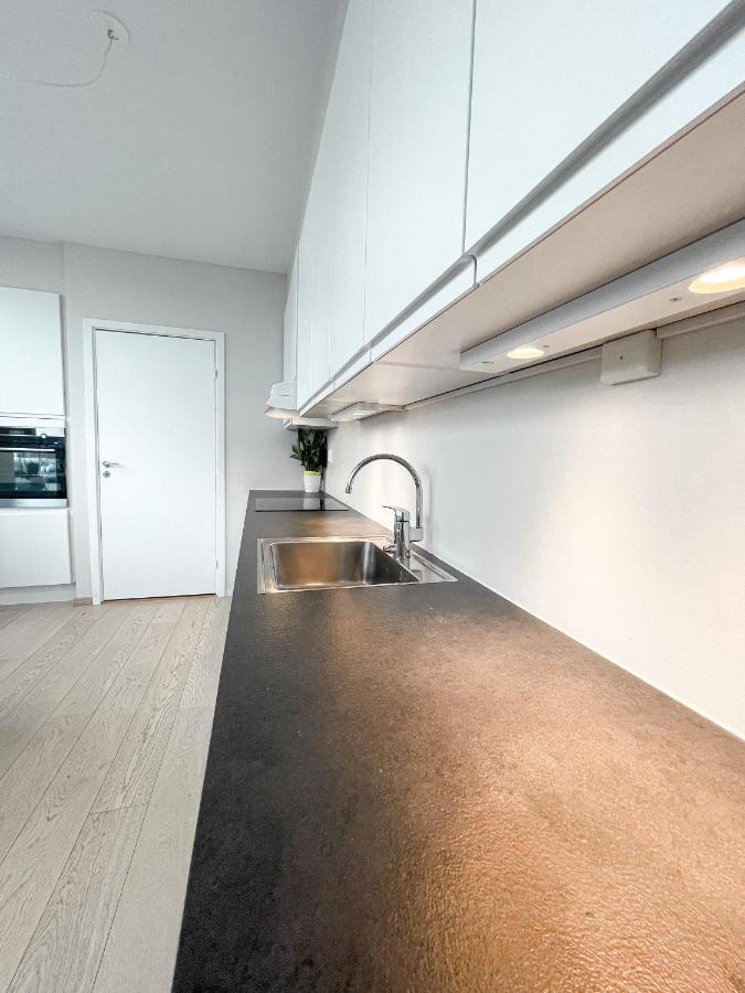 City Center Penthouse Apartment Oslo Extérieur photo